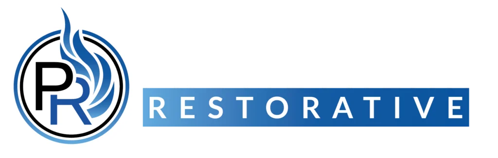 Promethean Restorative Horizontal Logo ( black and gradient blue )