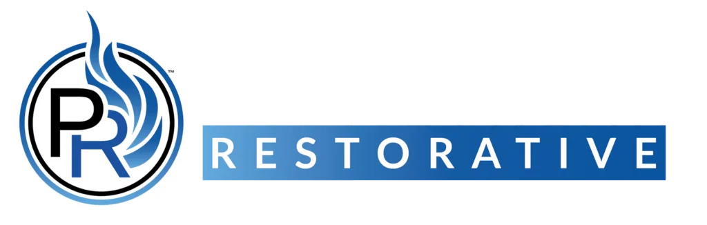 Promethean Restorative Horizontal Logo ( black and gradient blue )