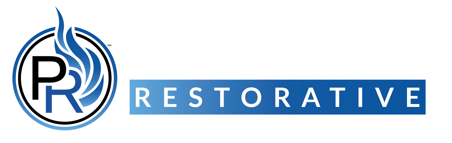 Promethean Restorative Horizontal Logo ( black and gradient blue )